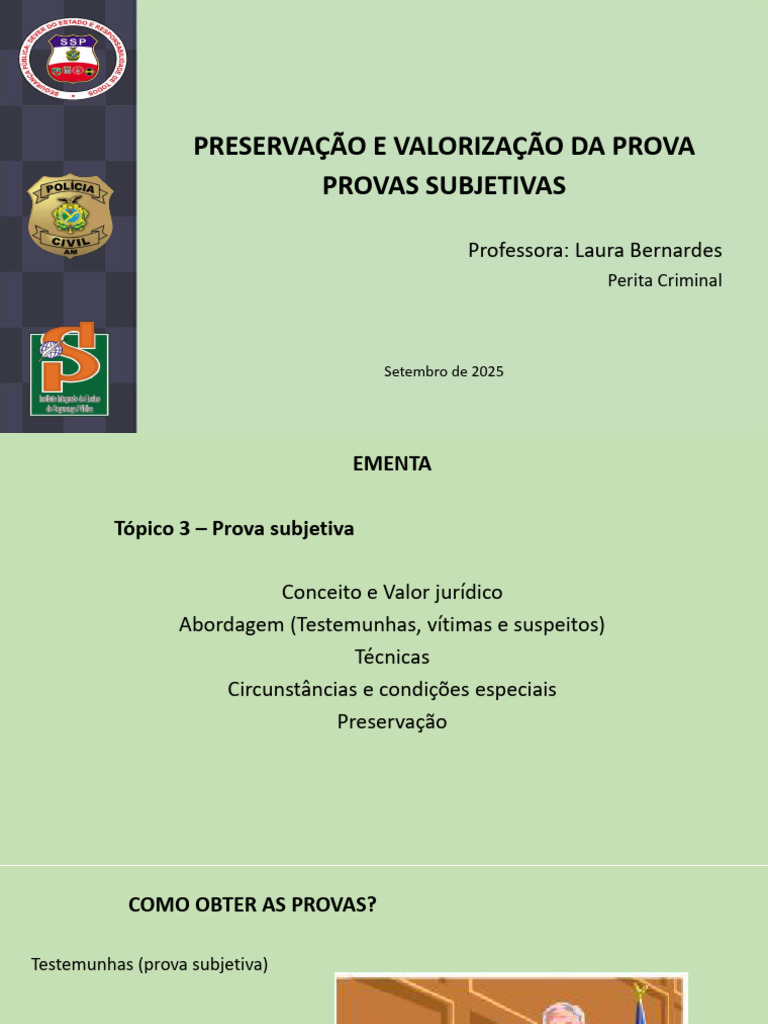 Prova Subjetiva: Preservação e Valoração | PDF | Prova (jurídico ...