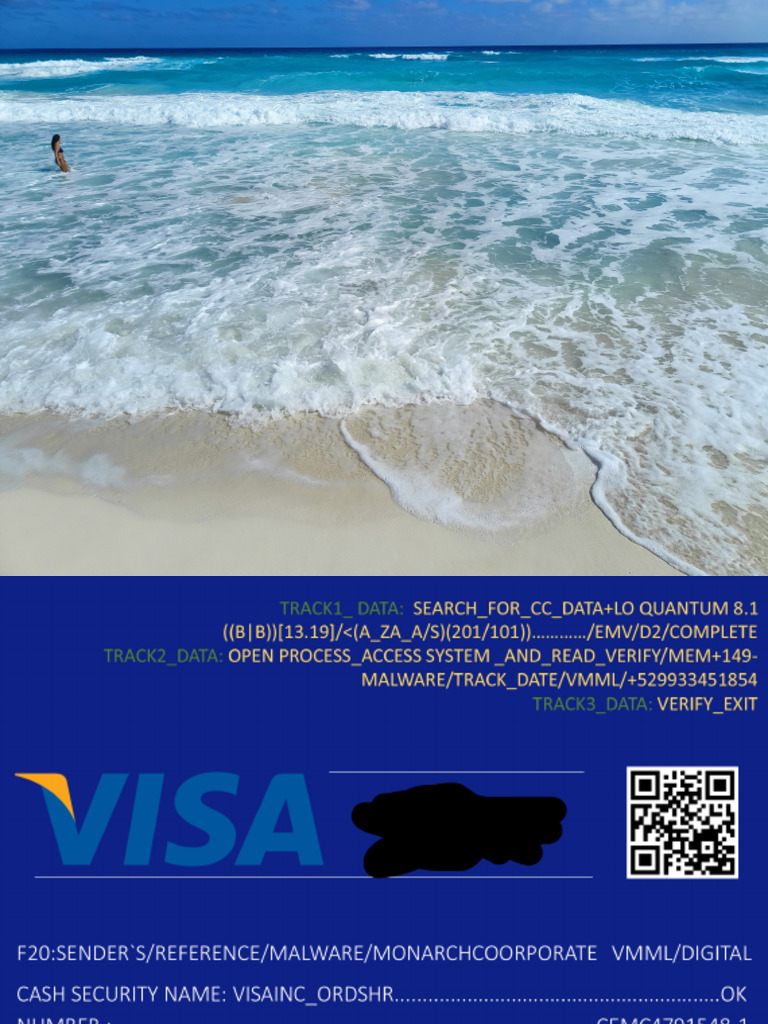 Visa Transaction Authorization Details | PDF | Data | Information Retrieval
