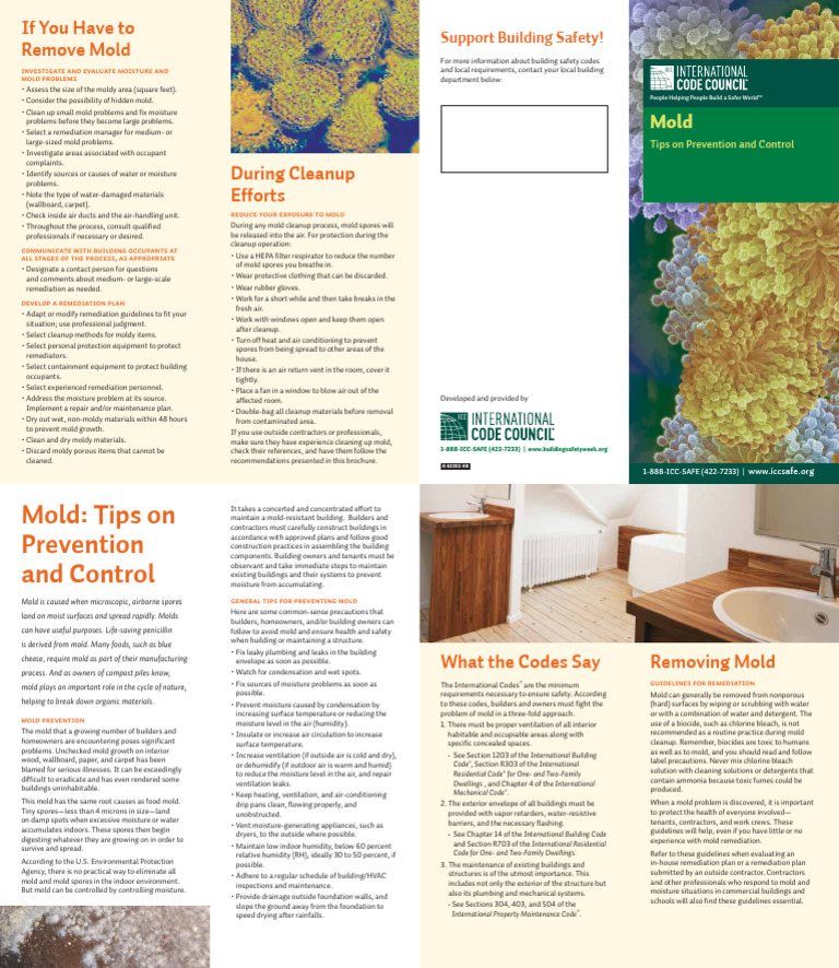 Mold Prevention and Cleanup Guide | PDF | Mold
