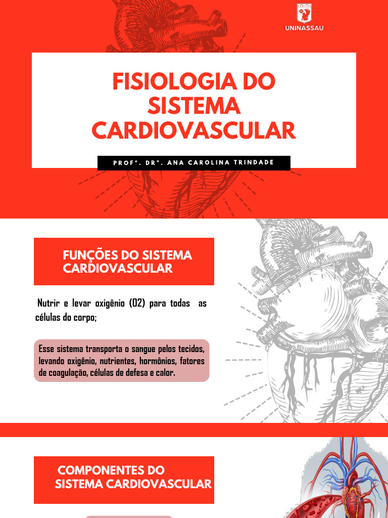 Fisiologia Do Sistema Cardiovascular | PDF | Coração | Sistema circulatório