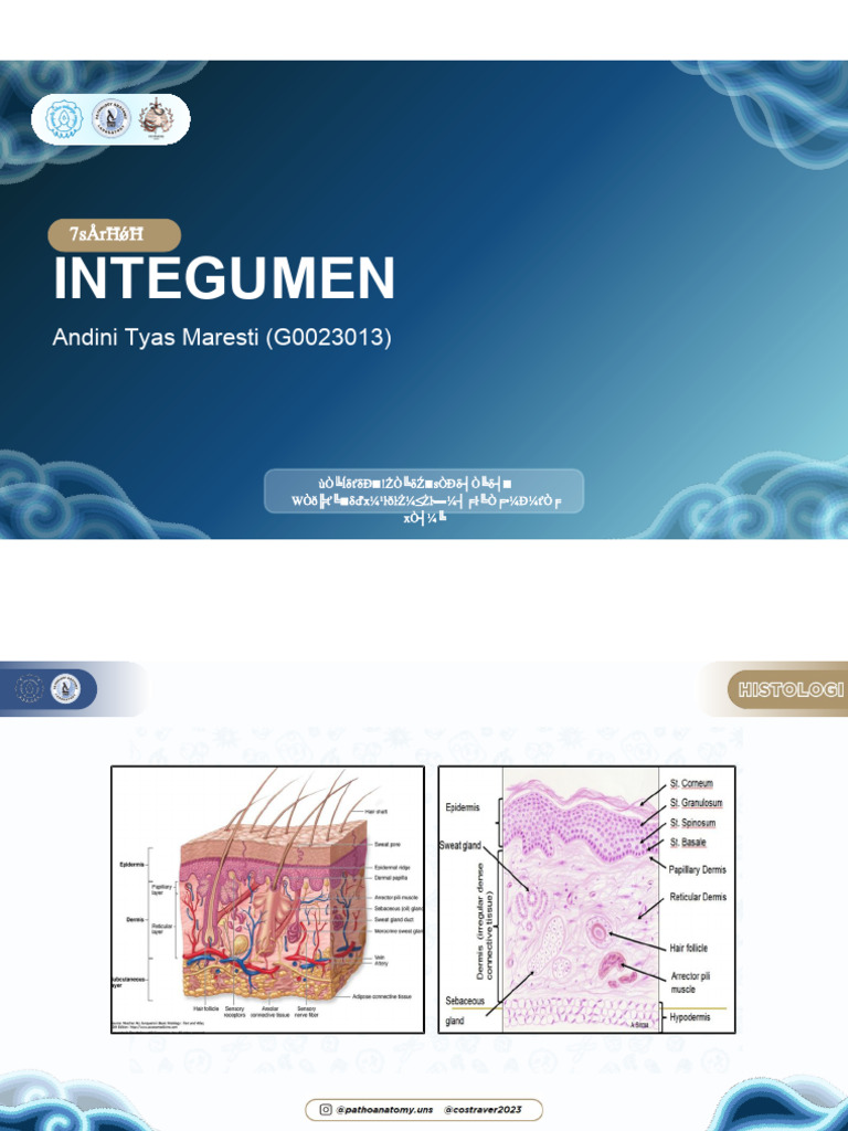 Integumen Edit PDF | PDF