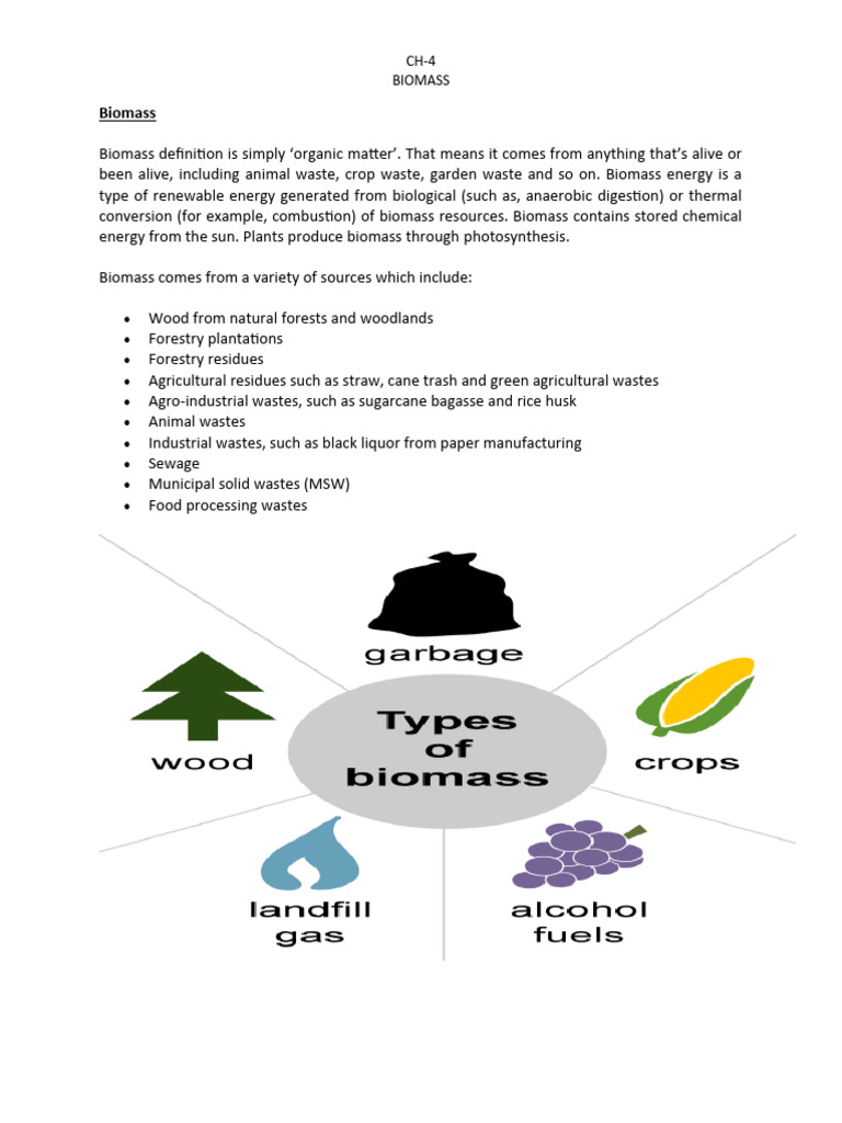 Biomass Energy: Conversion Methods & Benefits | PDF | Biofuel | Fuels