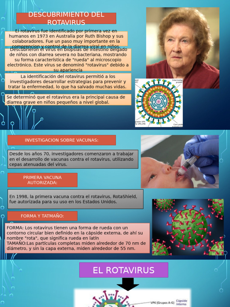 ROTAVIRUS | PDF | Virus | Ciencias de la Salud