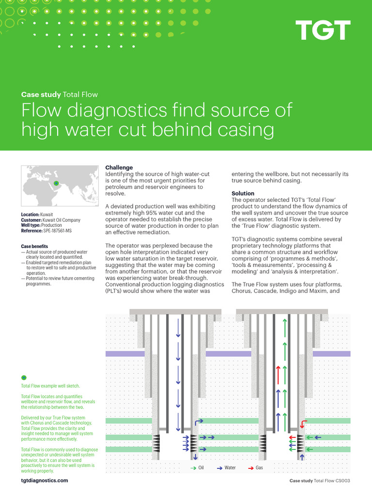 Total Flow Case Study: Water Cut Analysis | PDF | Petroleum Reservoir