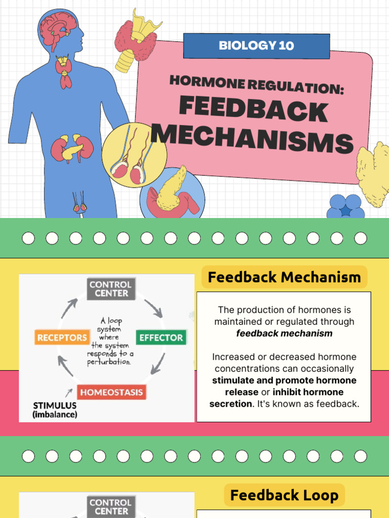 Hormone Regulation and Feedback Mechanisms | PDF | Homeostasis ...