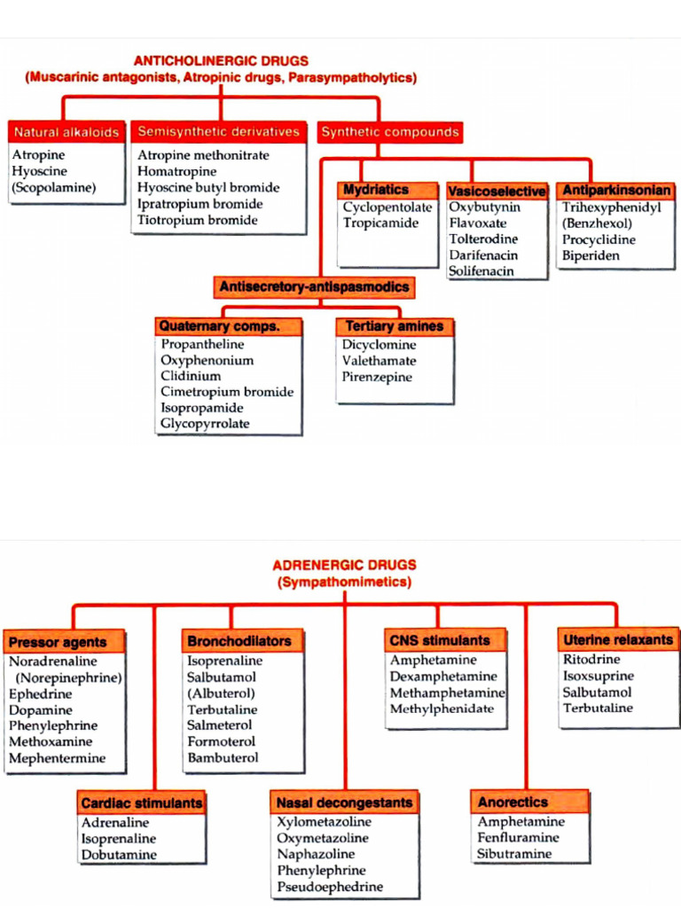 Pharma Essay Classification | PDF