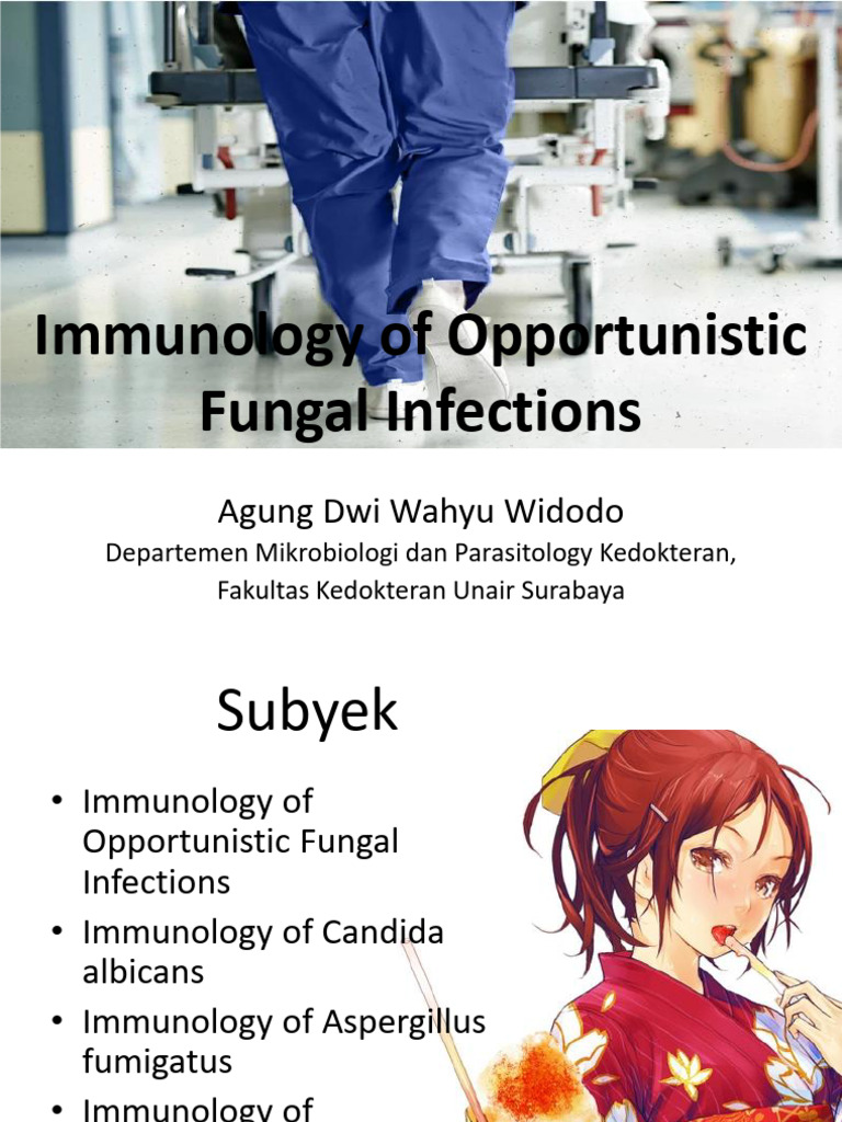 Immunology of Fungal Infections Explained | PDF | Immune System ...