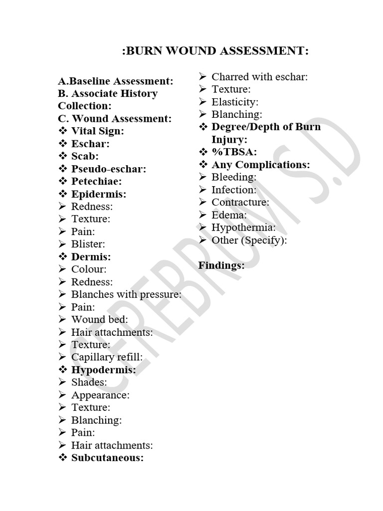 Burn Wound Assessment | PDF