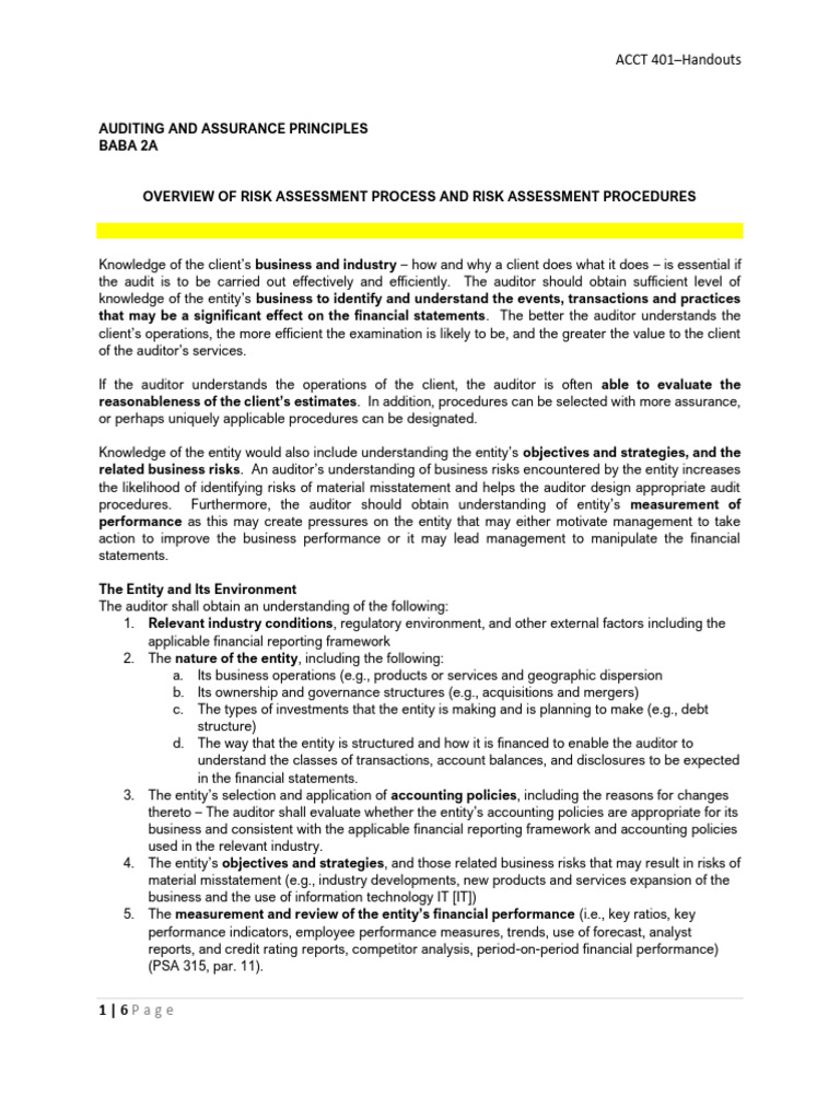 04 Risk Assessment Procedures Handouts | PDF | Internal Control | Audit