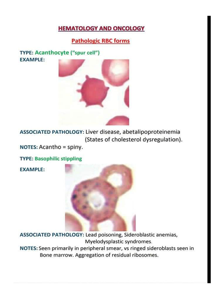 Patho Practical 1 | PDF