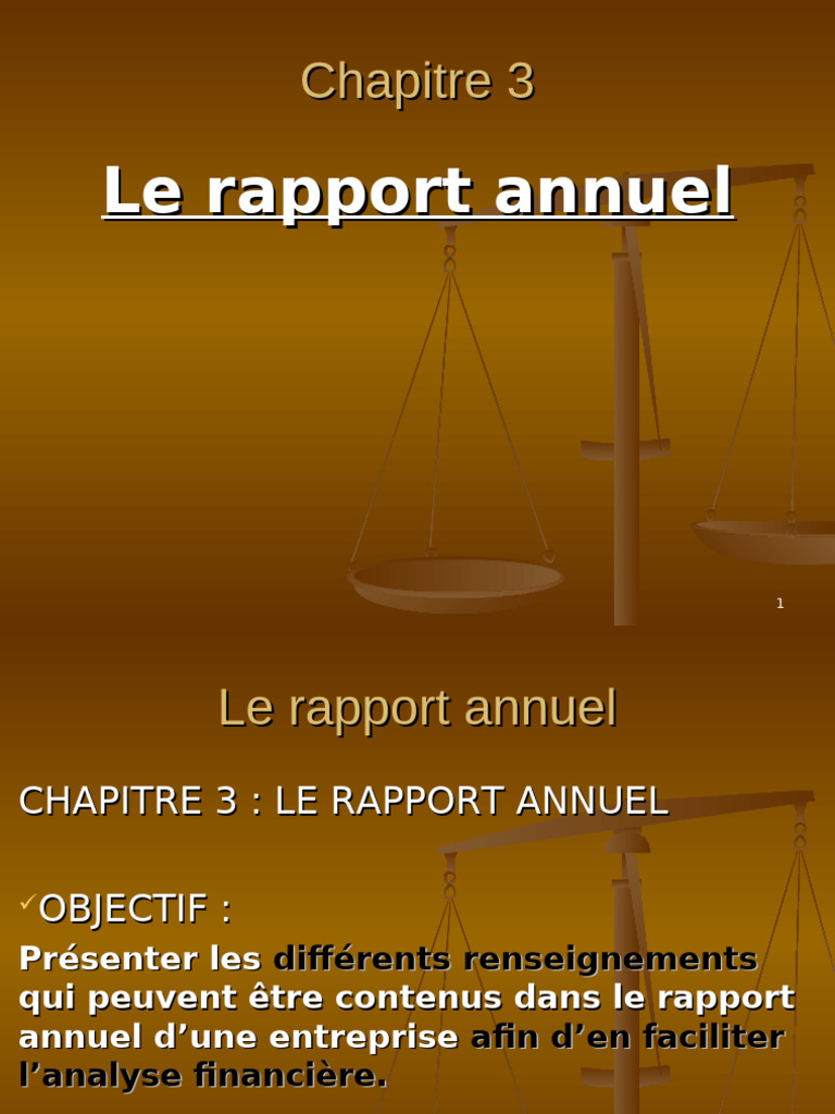 Comprendre le Rapport Annuel d'Entreprise | PDF