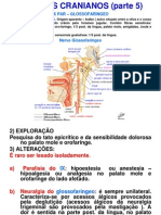 Ix Par - Glossofaringeo: Nervo