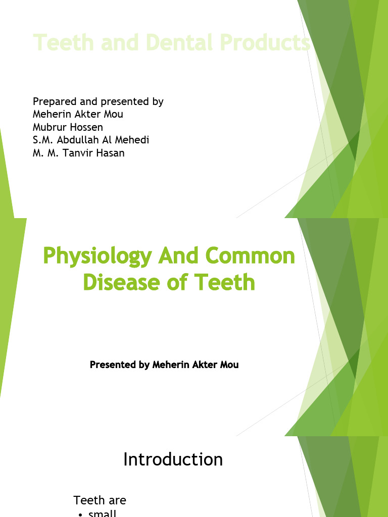 Understanding Teeth and Dental Care | PDF | Human Tooth | Oral Hygiene