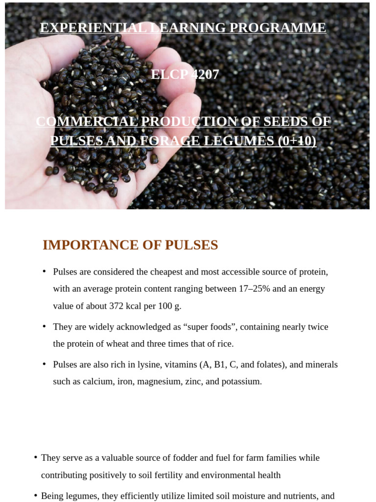 Commercial Seed Production of Pulses | PDF | Legume | Soil