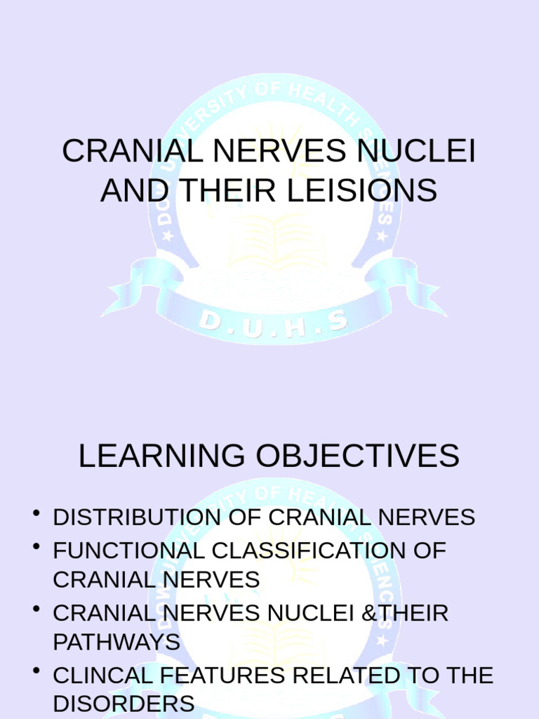 Cranial Nerves: Nuclei and Lesions Guide | PDF | Human Head And Neck ...