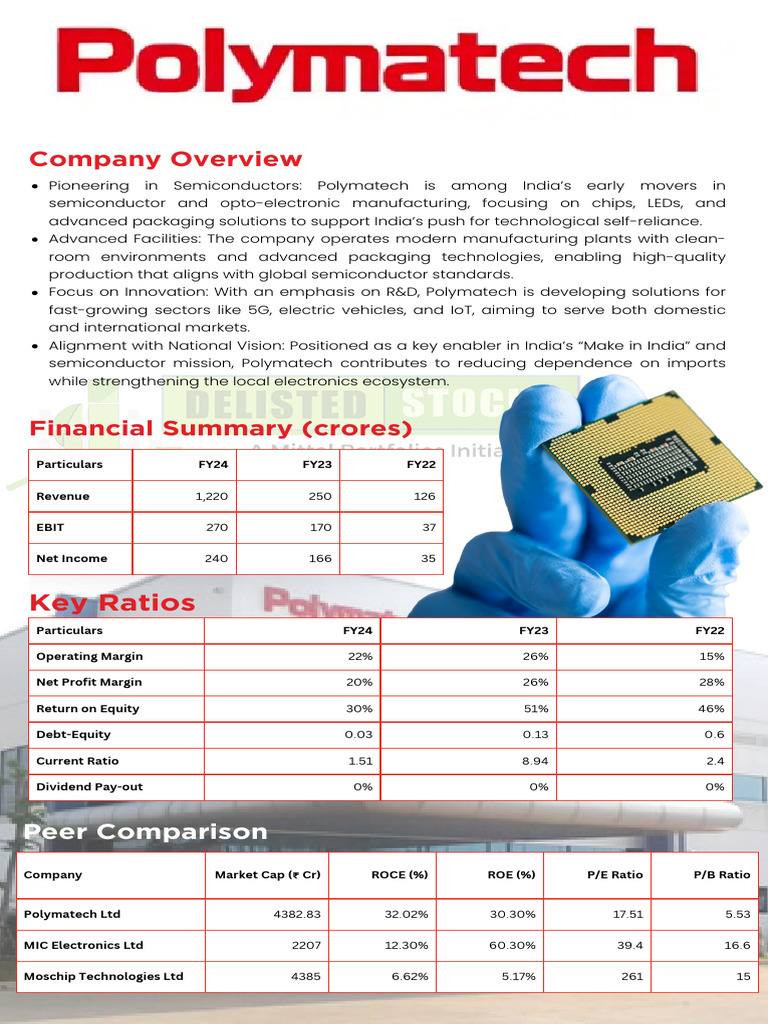 Polymatech Semiconductor Financial Overview | PDF