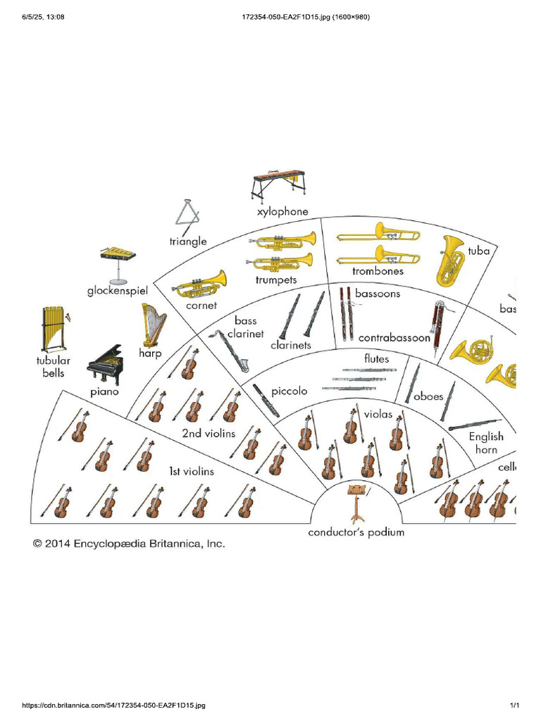 Instruments of The Orchestra | PDF