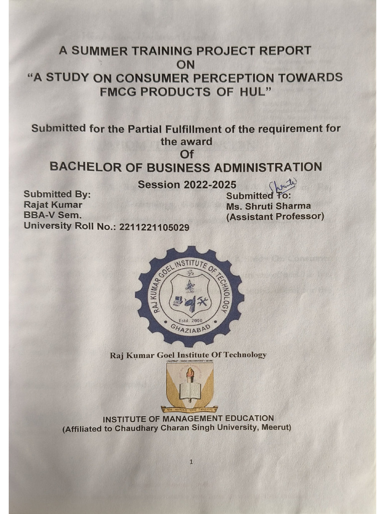 BBA Summer Training Project by Tanish | PDF