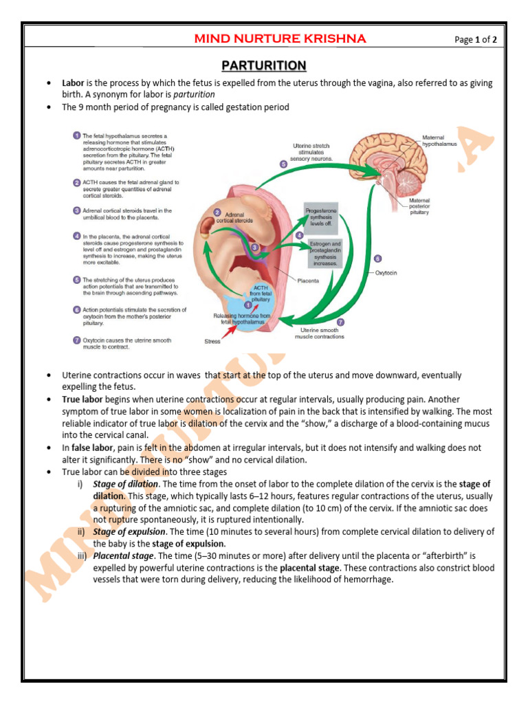 L-5 Parturition - 50175128 - 2025 - 10 - 25 - 10 - 54 | PDF ...