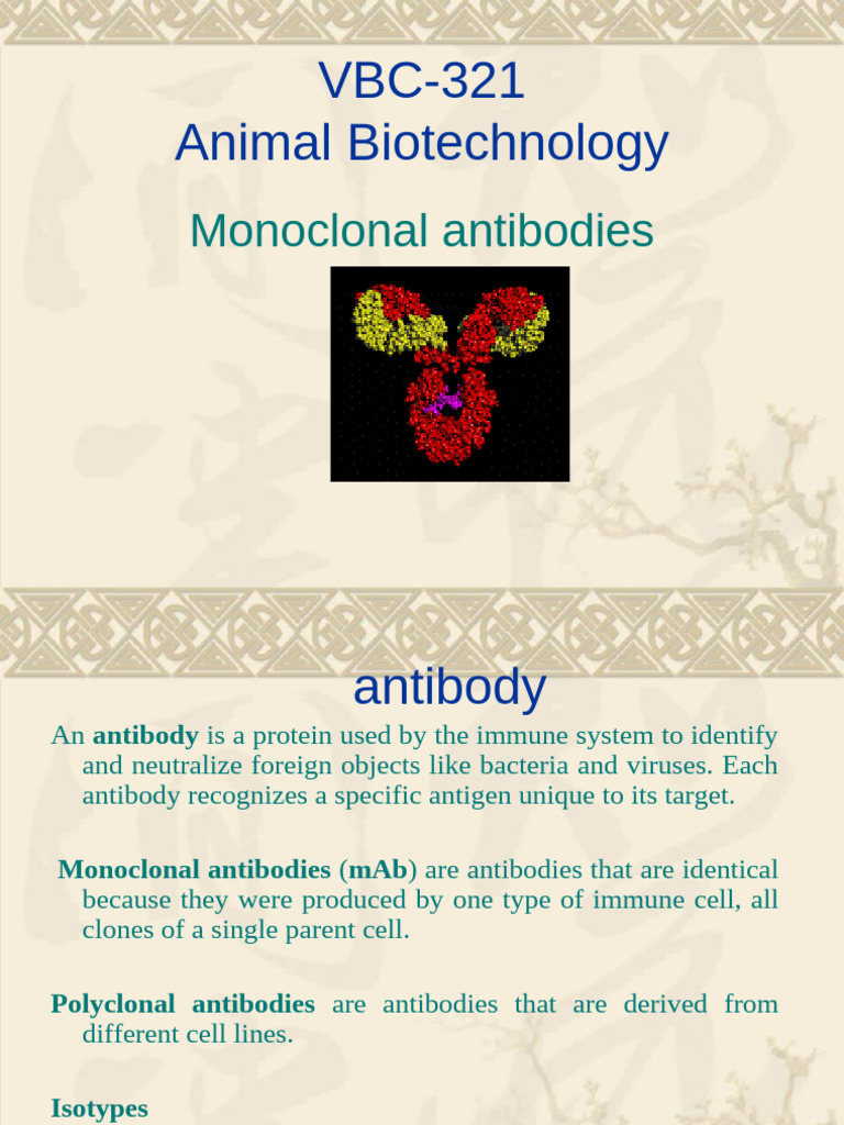 Monoclonal Antibodies: Production & History | PDF | Antibody ...