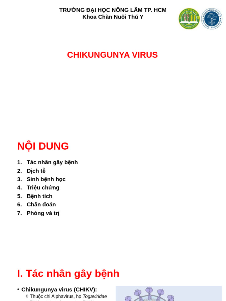 Chikungunya Fever (Final) | PDF