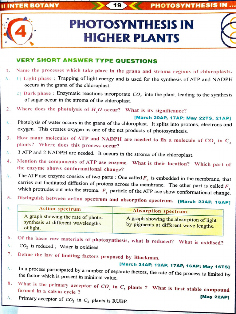 Photosynthesis in Higher Plants: Key Concepts | PDF | Photosynthesis ...