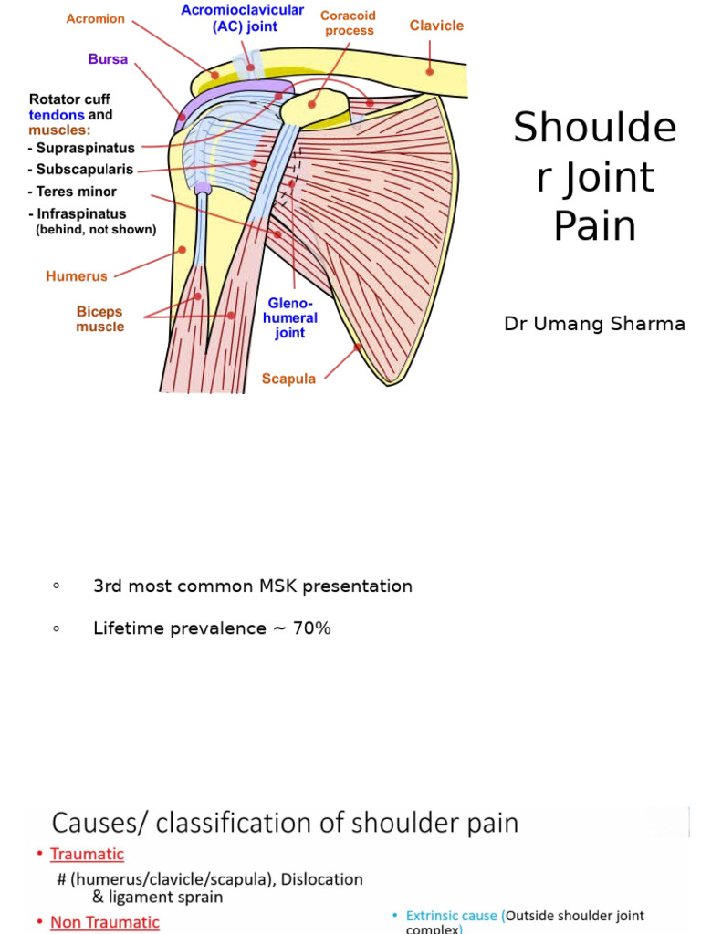 Comprehensive Guide to Shoulder Joint Pain | PDF | Shoulder | Joints