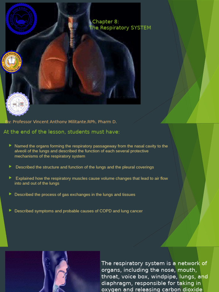 Overview of the Respiratory System | PDF | Respiratory Tract | Lung