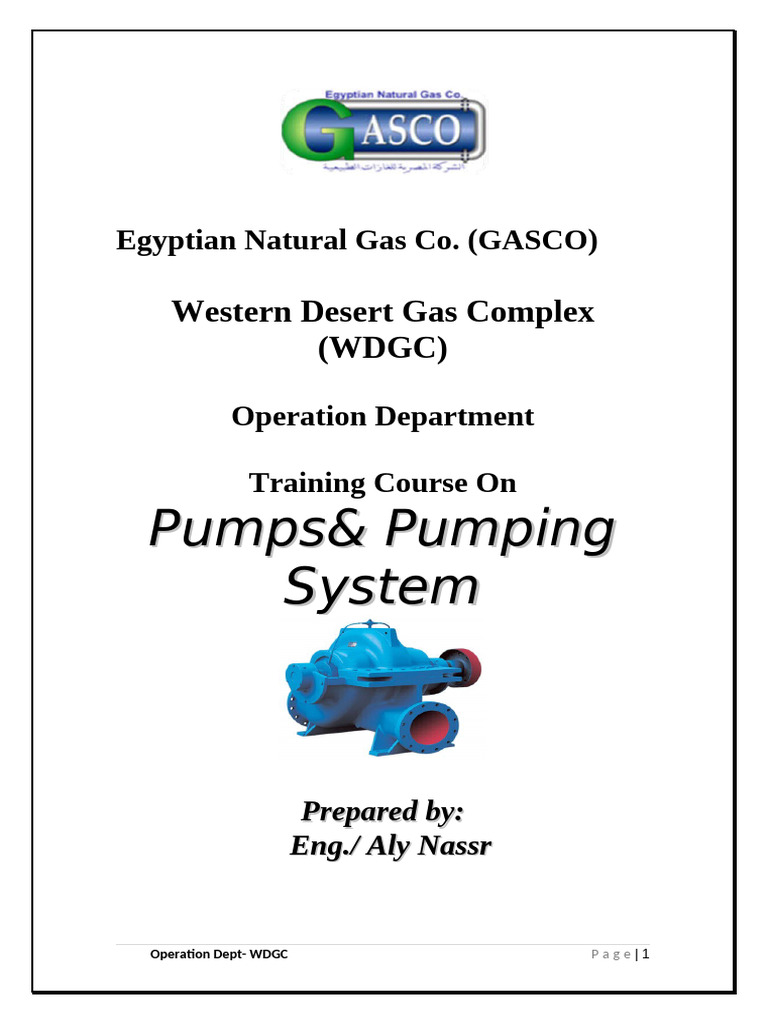 Pumps and Pumping Systems Overview | PDF | Pump | Hydraulics