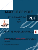 Muscle Spindle: By-Dr. Pravin P. Gawali Ii MPT KCPT