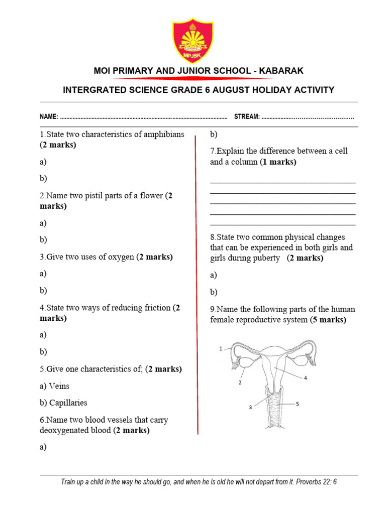 Grade 6 Integrated Science Holiday Activity | PDF