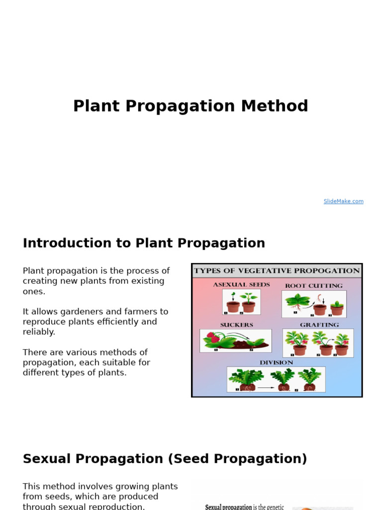 Plant Propagation Method | PDF