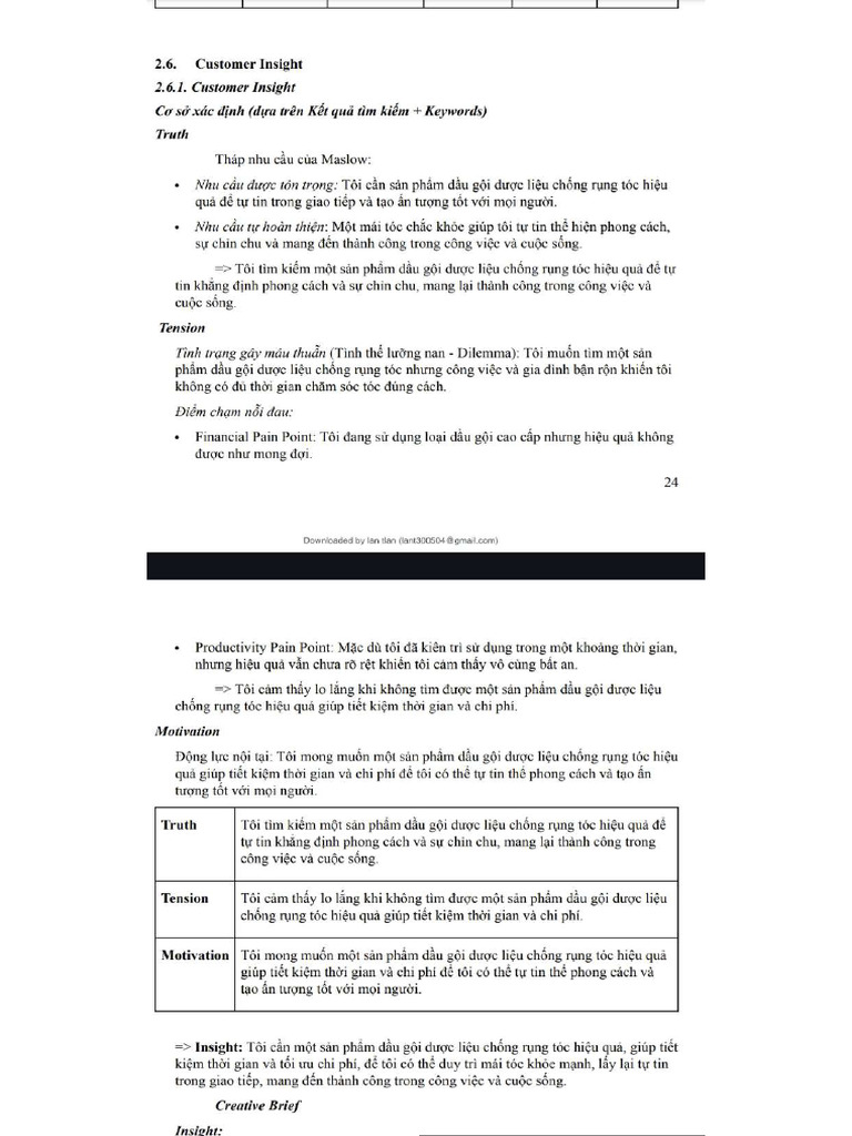 Insight | PDF