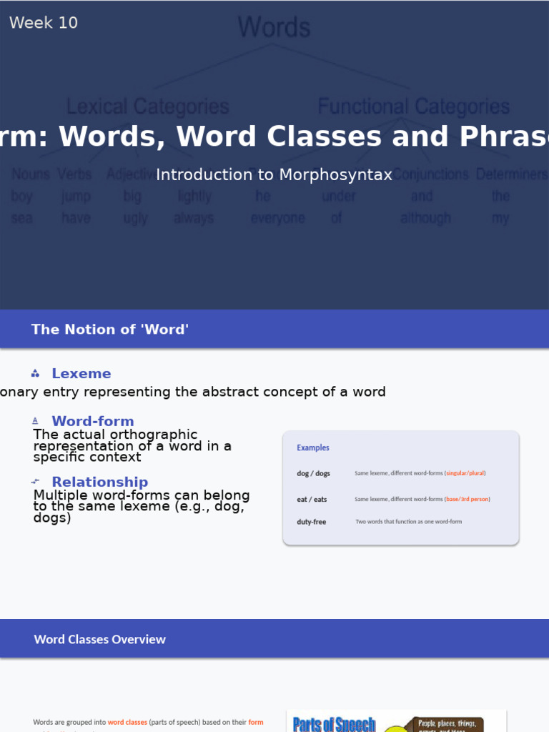 Week 10 - Form - Words, Word Classes and Phrases | PDF | Verb | Adjective