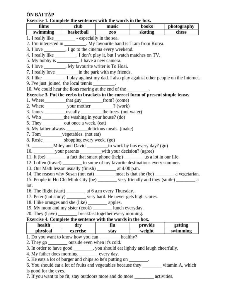 English Language Exercises for Beginners | PDF