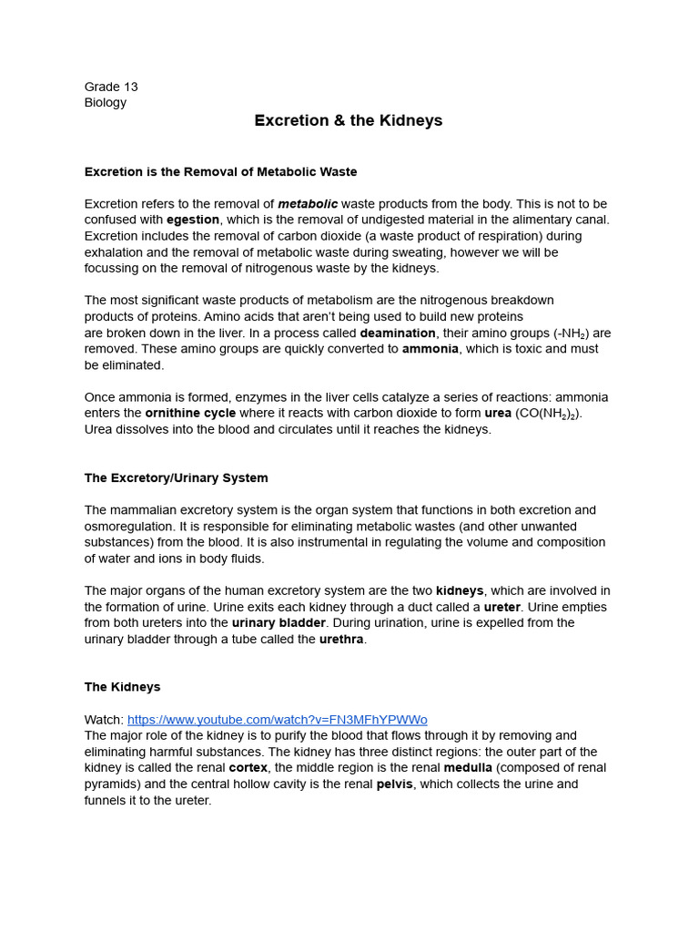 Notes - Excretion & The Kidneys | PDF | Kidney | Urinary System