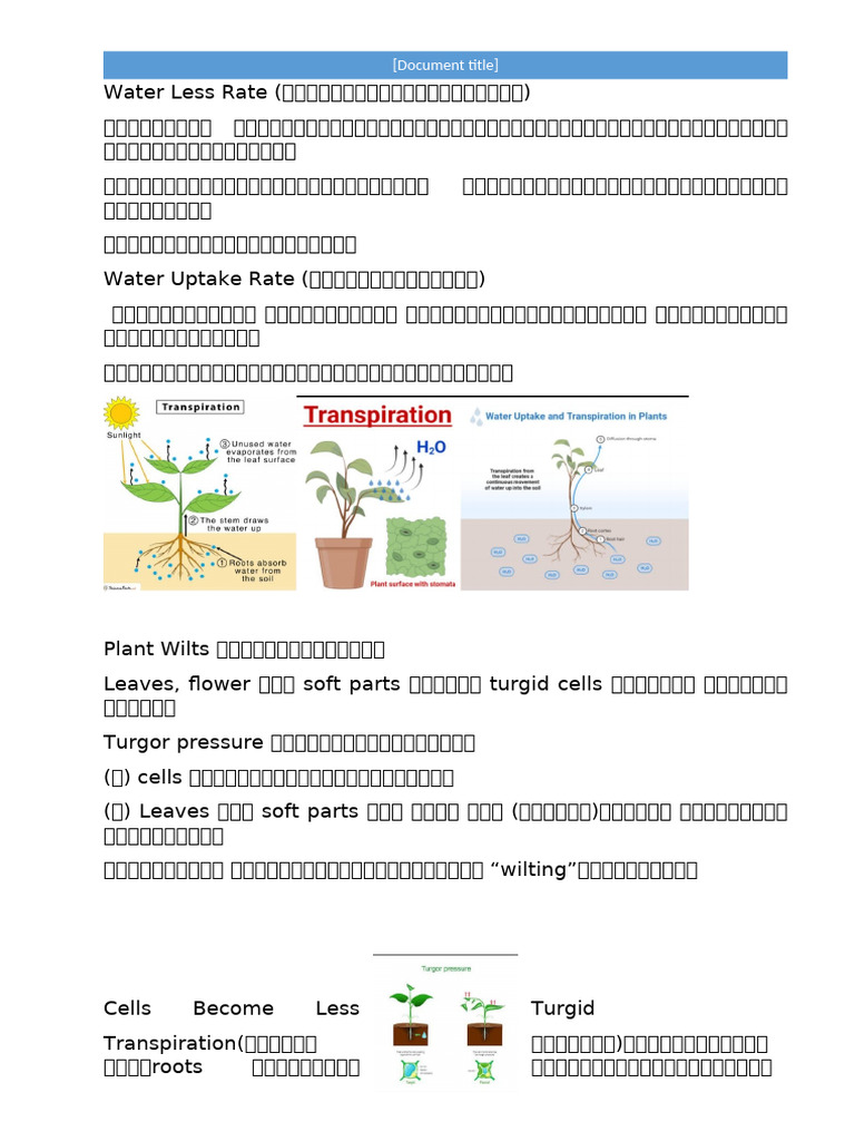 BIO (1) | PDF