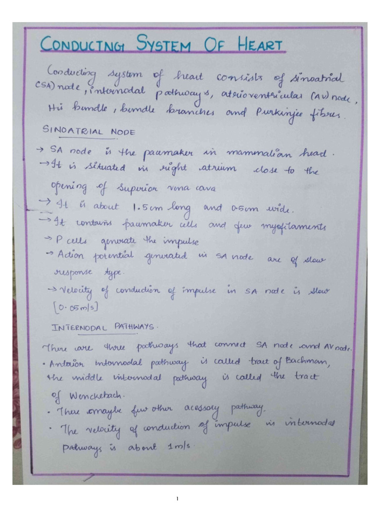 Conducting System | PDF