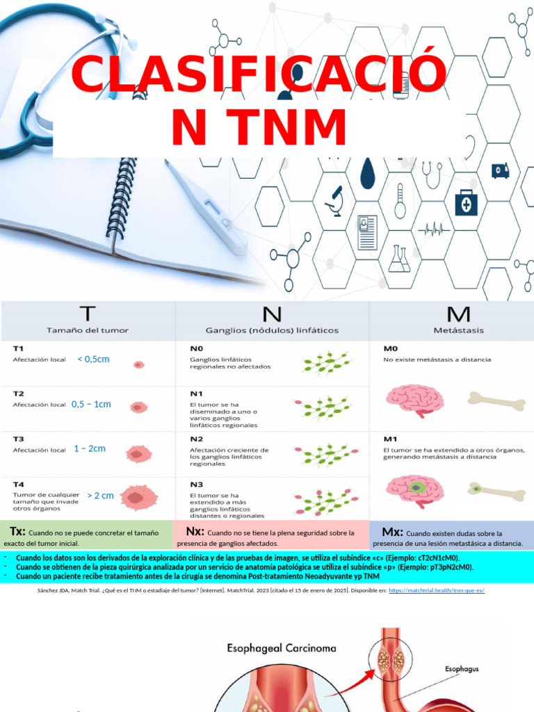 Guía sobre clasificación TNM del cáncer | PDF