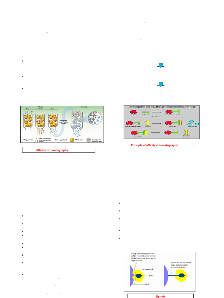 Affinity Chromatography Overview | PDF | Chromatography | Protein ...