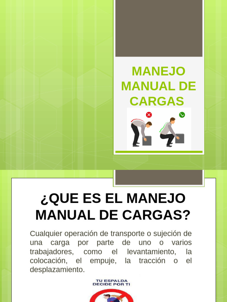 Guía sobre Manejo Manual de Cargas | PDF | Enfermedades y trastornos