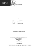 Download Ekstraksi Agar Dyan by Syals Bila SN94770729 doc pdf