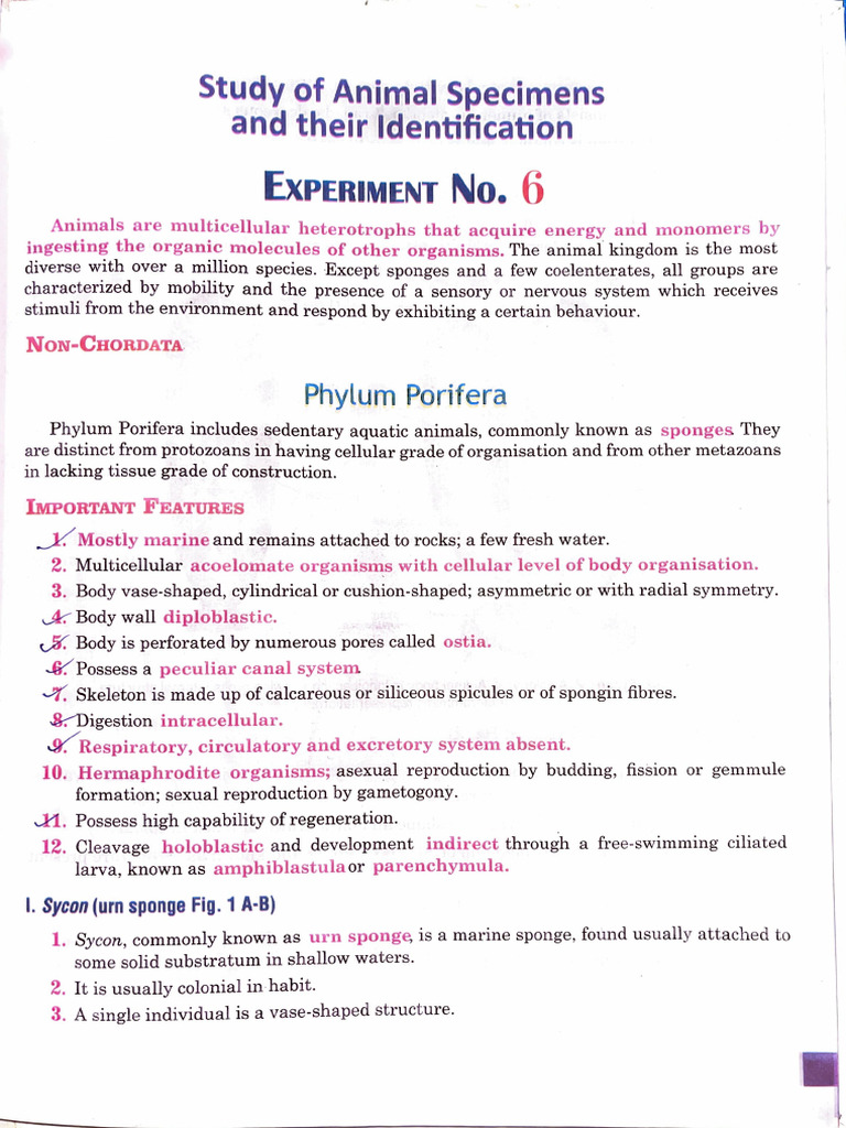 Biology Phylum Manual Work | PDF