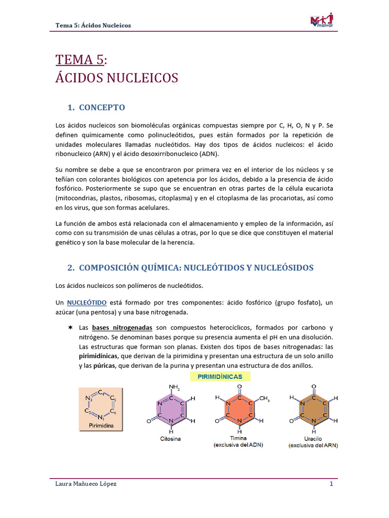 Ácidos Nucleicos | PDF | Rna | Adn
