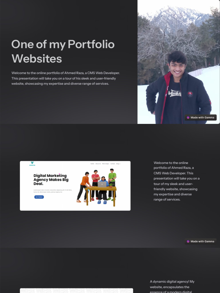 47 Portfolio Webpage Creation 단락 3 이미지 2