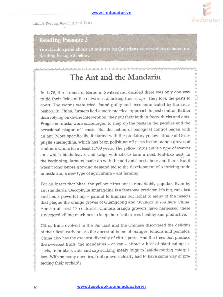 Ants | PDF