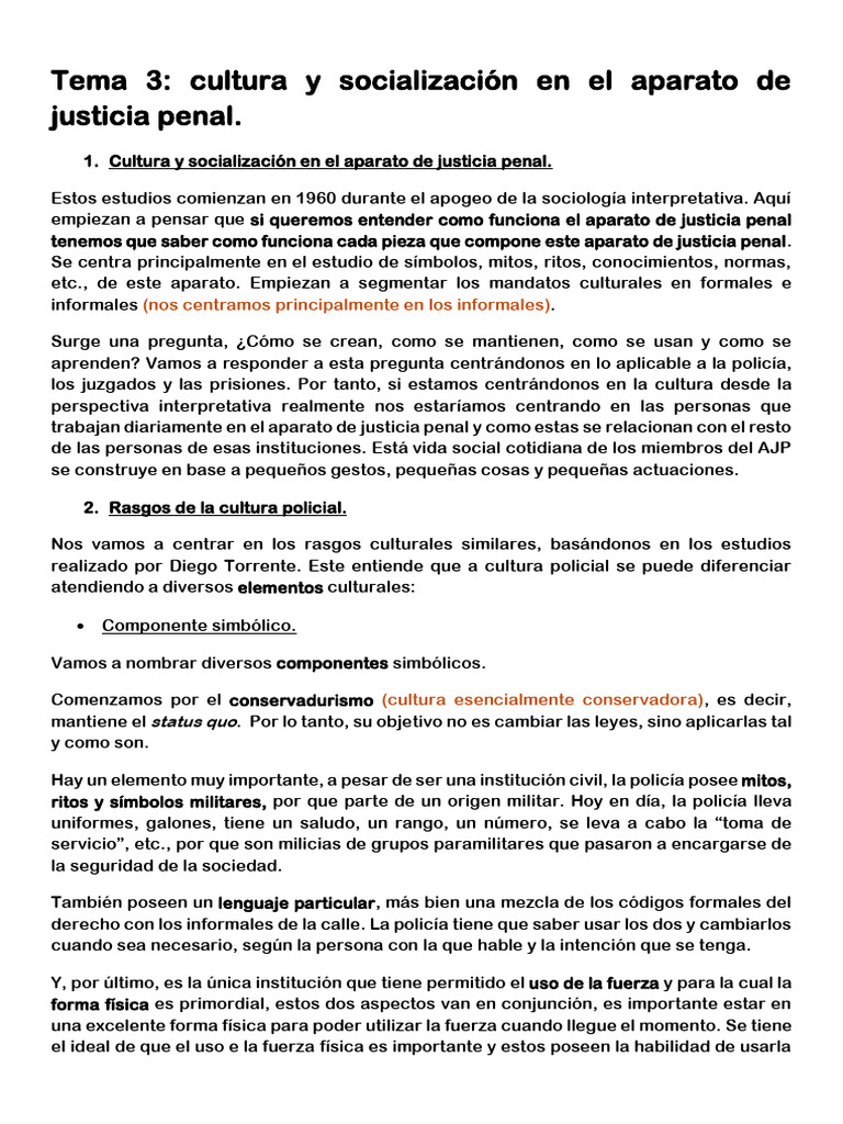 Cultura y socialización en justicia penal | PDF | Justicia | Crimen y ...