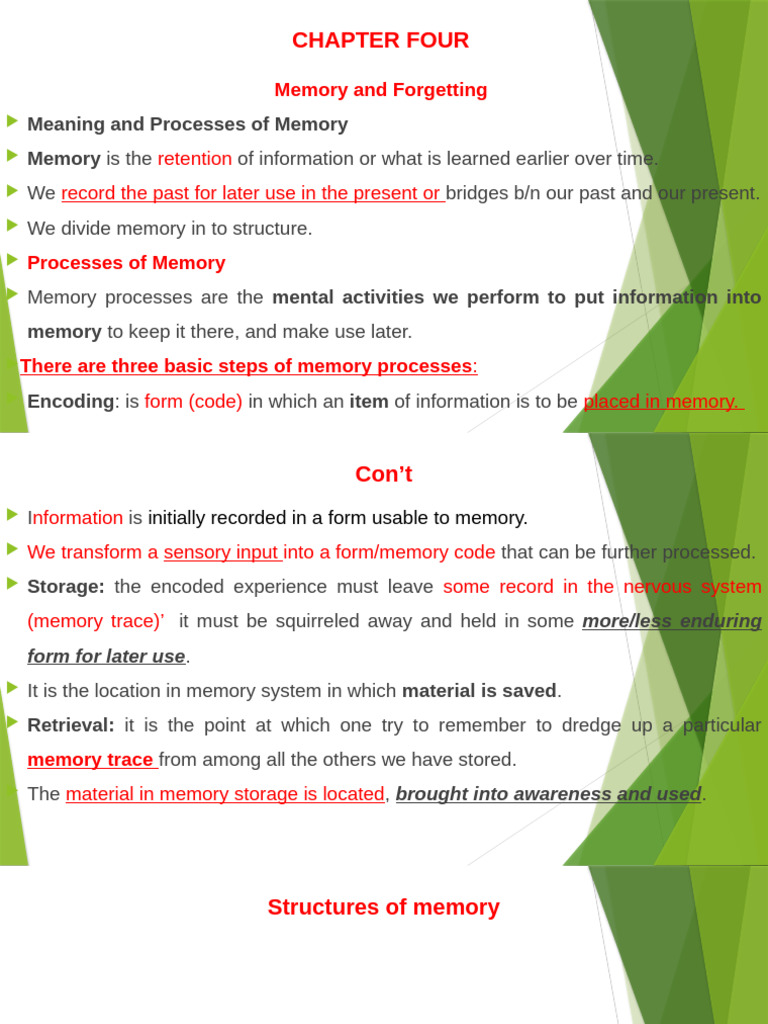 Memory Processes and Forgetting Explained | PDF | Memory | Recall (Memory)