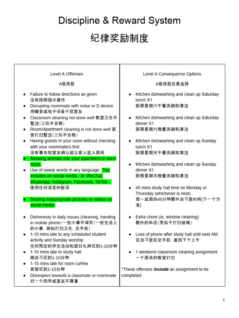 Discipline and Reward System Overview | PDF