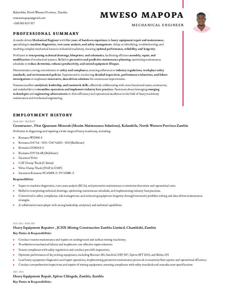 Mweso Mapopa: Professional Summary | PDF | Reliability Engineering | Safety